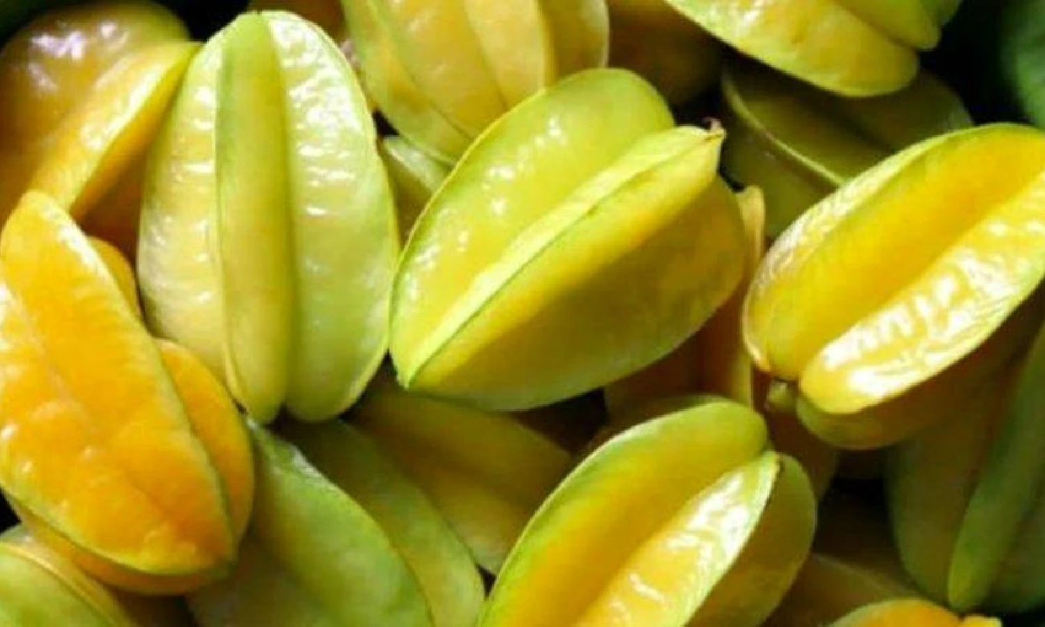 Khasiat Buah Belimbing Untuk Kesehatan