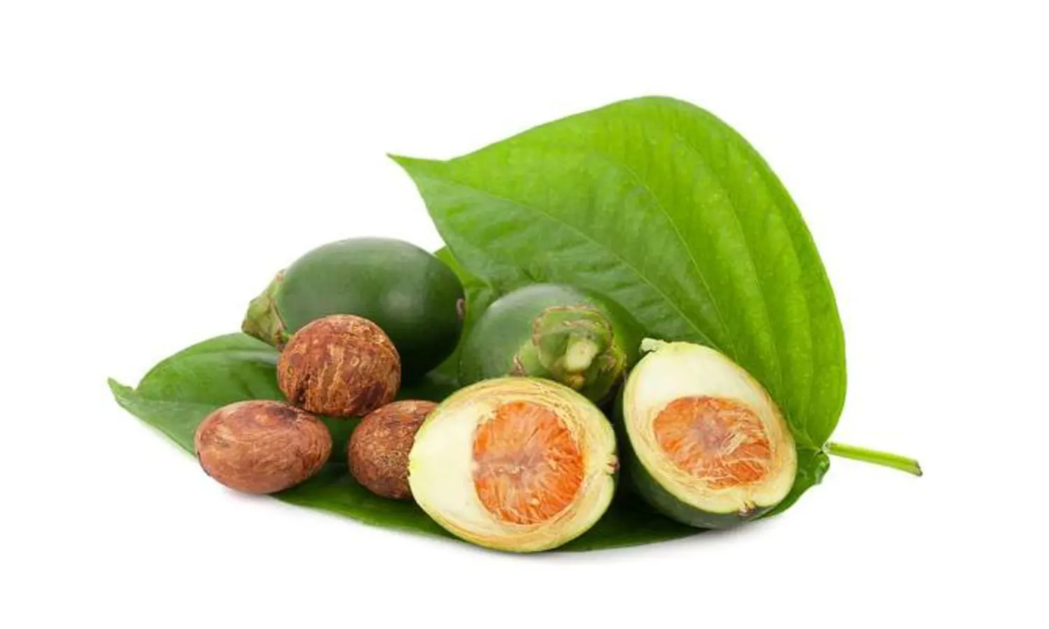 Manfaat Buah Pinang untuk Kesehatan yang Jarang Diketahui Orang